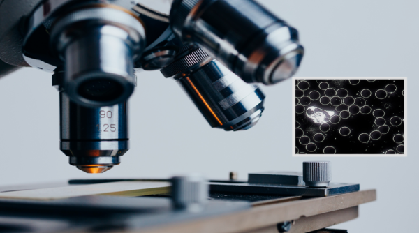 Curso sobre Microscopia